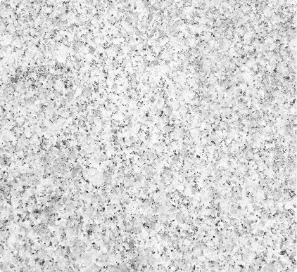 Rectangle 13 (5)