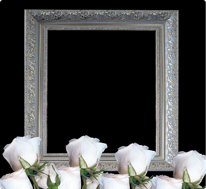 Rectangle 13 (8)