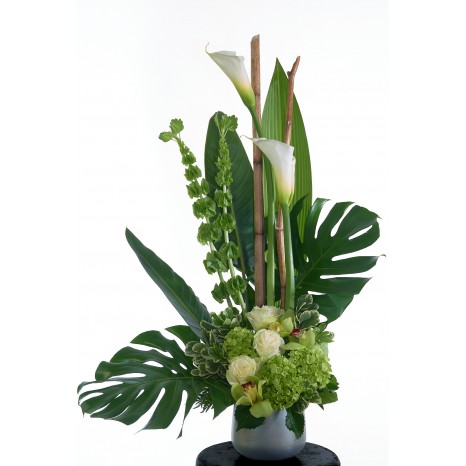 Moderne ceramic