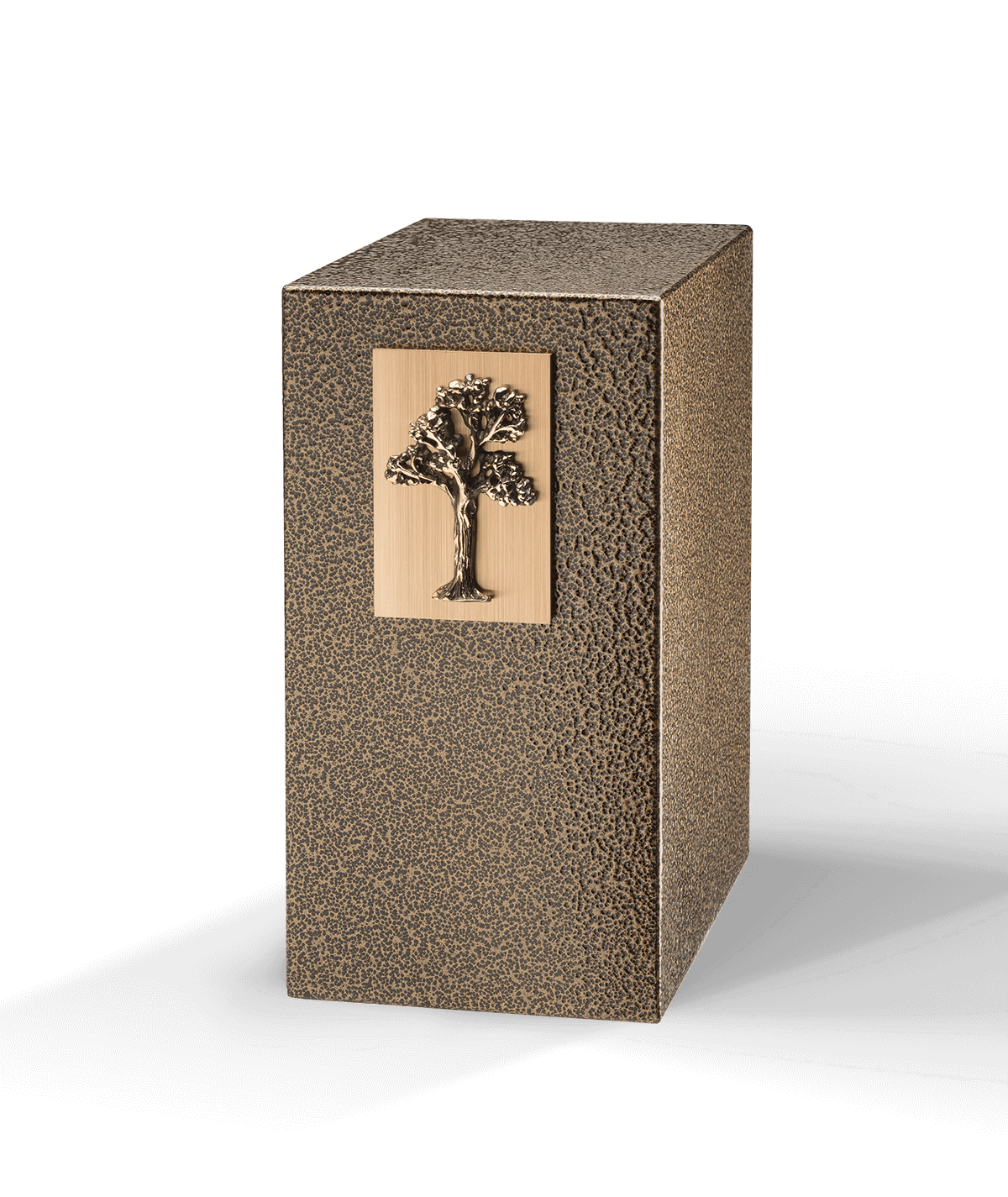 Zb 700f quietude arbre brune